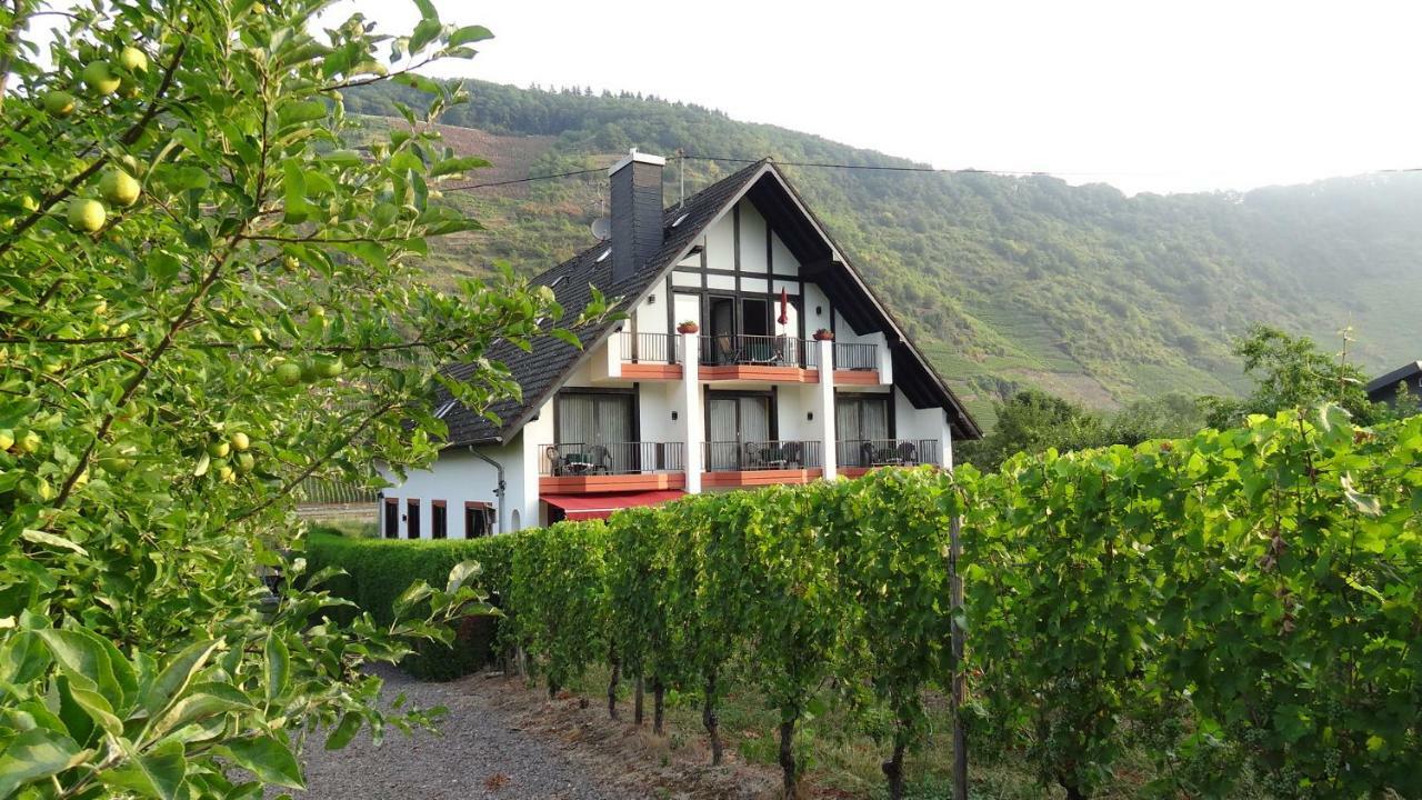 Haus Weingarten Appartements-Zimmer ارنست الغرفة الصورة